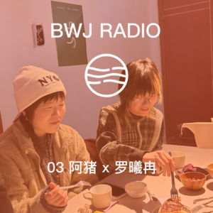 水象播客03:长沙&纽约，社区艺术项目实践论