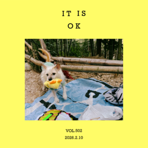 vol.502:因为“努力过”,所以“没关系”