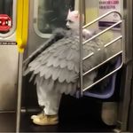 Elvira在马孔多观雨
