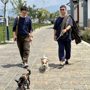 胖冬来