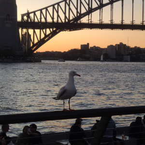 NO.026 只要你相信，极光就会出现