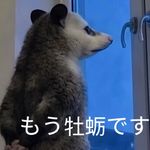 柴犬猫司机