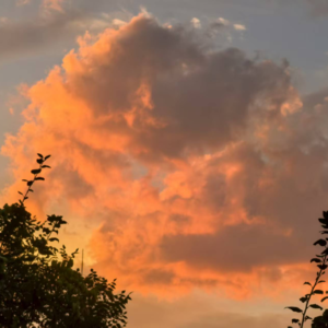 Vol 20 - 我的完美的一天-提升日常幸福感小tips