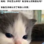 Vol.040 校园古惑仔图鉴：可怕？中二？有阴影？
