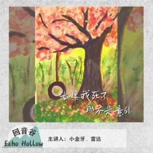 【付费001】如果我死了，那一定不是意外