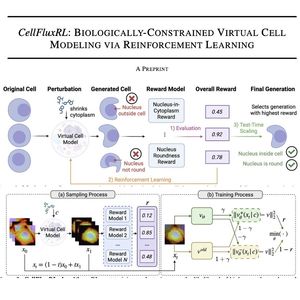 926-CellFluxRL: Virtual Cell Modeling