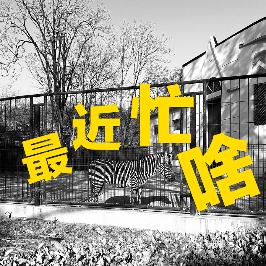 2026，放下执念，在问题中生活 episode artwork