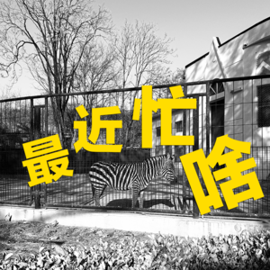 2026,放下执念,在问题中生活
