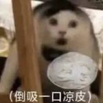 小野_克洛伊
