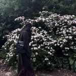 糖水蛋i