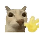 Qqq叻哈基鼠