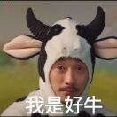 丁_RvCu
