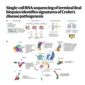 1302-A Single-Cell Atlas of Crohn’s Disease Pathogenesis
