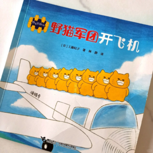 6.读绘本:《野猫军团开飞机》