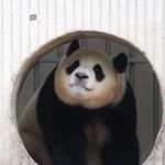 栗子栗子同学