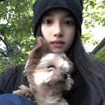 小猫好运