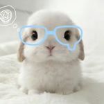 爱你老己too