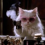 皮质乐透奖得主