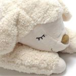 阳光灿烂蟑螂233