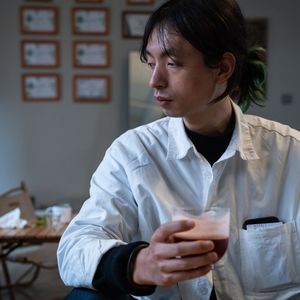 直树桑