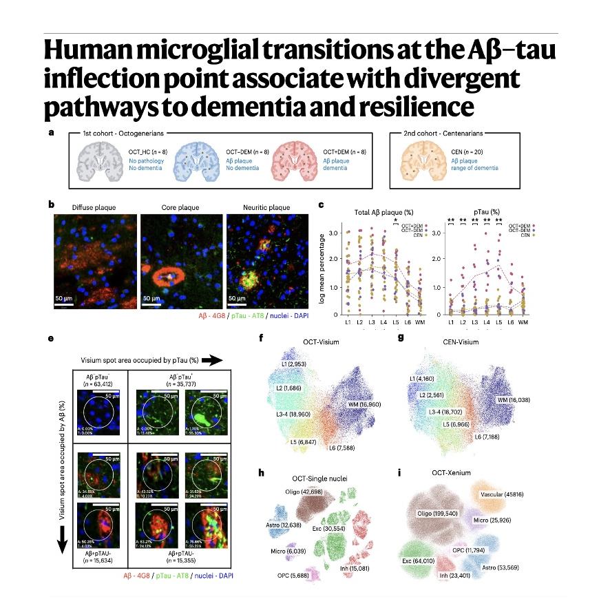 1180-Microglial Transitions at Amyloid-Tau Inflection Point episode artwork
