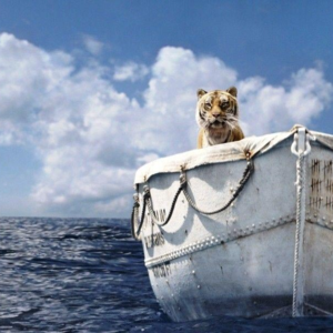 第4梦：洪水冲开动物园后，少年找到翡翠了吗？