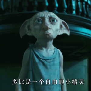 Vol1生日快乐多比！袜子小英雄一生的追寻
