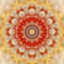 内在花园InnerLig
