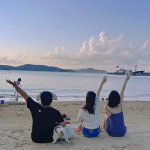 沉浸式旅行海岛游：此船票通往专属于你的最美风景！