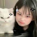 Doris立夏