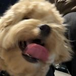 加油站距此一百英里