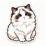 阿尘Achin