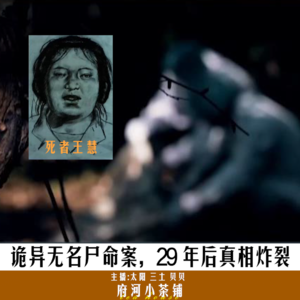 诡异无名尸命案，29 年后真相炸裂