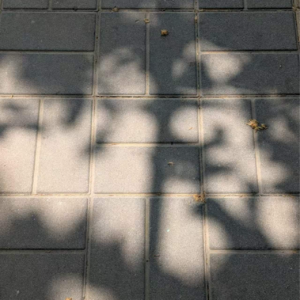 15-“汁儿辨北京人”