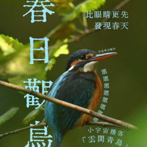 E37.耳朵比眼睛更先发现春天，这份春日观鸟的心动快乐请收下！