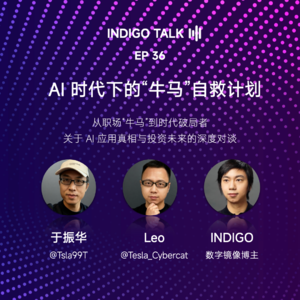 AI 时代下的“牛马”自救计划：关于 AI 应用的真相与投资的未来 / INDIGO TALK - EP36