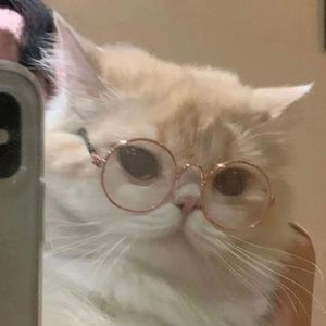 podcaster-avatar