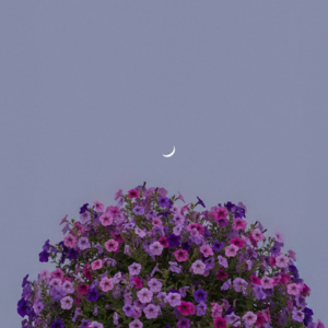 011.不确定的时代，如何向内安顿自己。