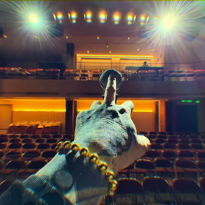 🐯47. 子龙、跟谁混、掉汤里的纹身