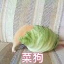 KYwlzr