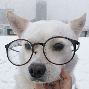 东南西北的东北