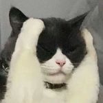 俩饼