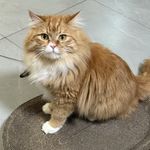 是小陈啊