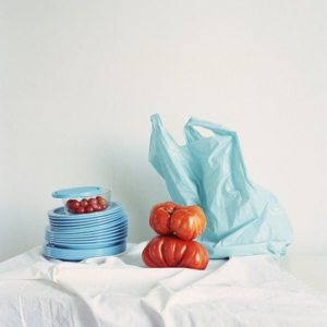 19 年前混乱、AI升温、多邻国上瘾：失序中的控制感｜2月声音日记1