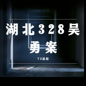 25.我叫你爸,你带我行凶,这对么?湖北328吴勇案