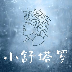 小舒塔罗