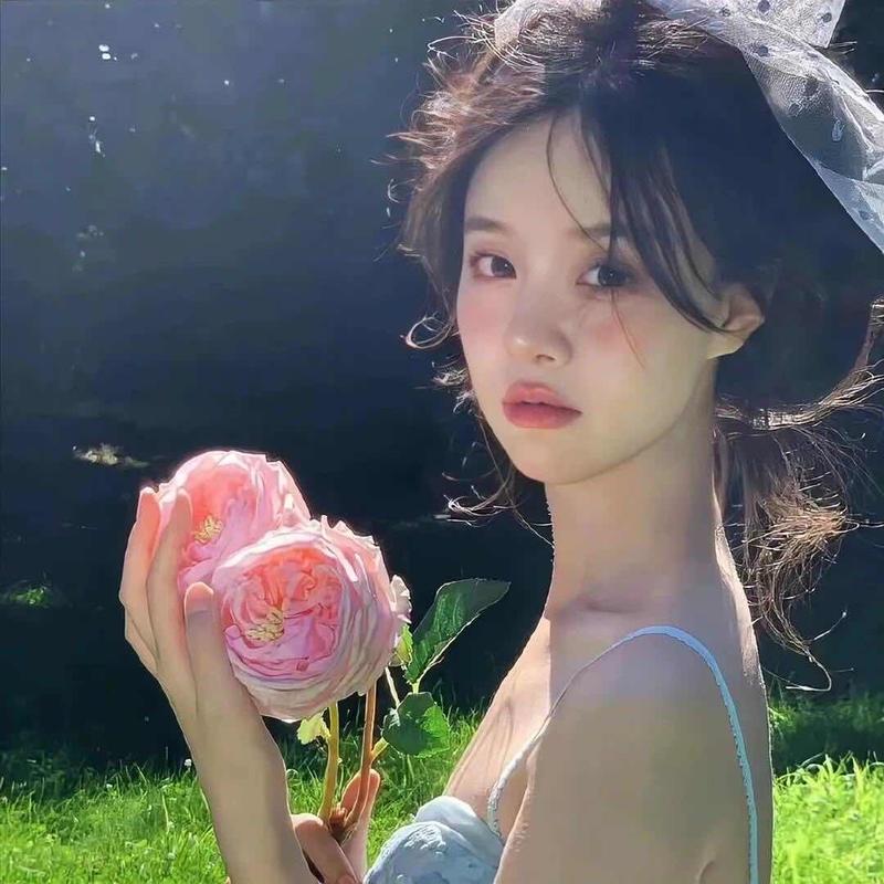 鹤藏雪