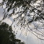 18岁的独白