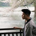 千千千棵树