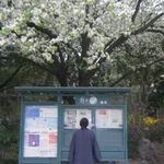 世界属于